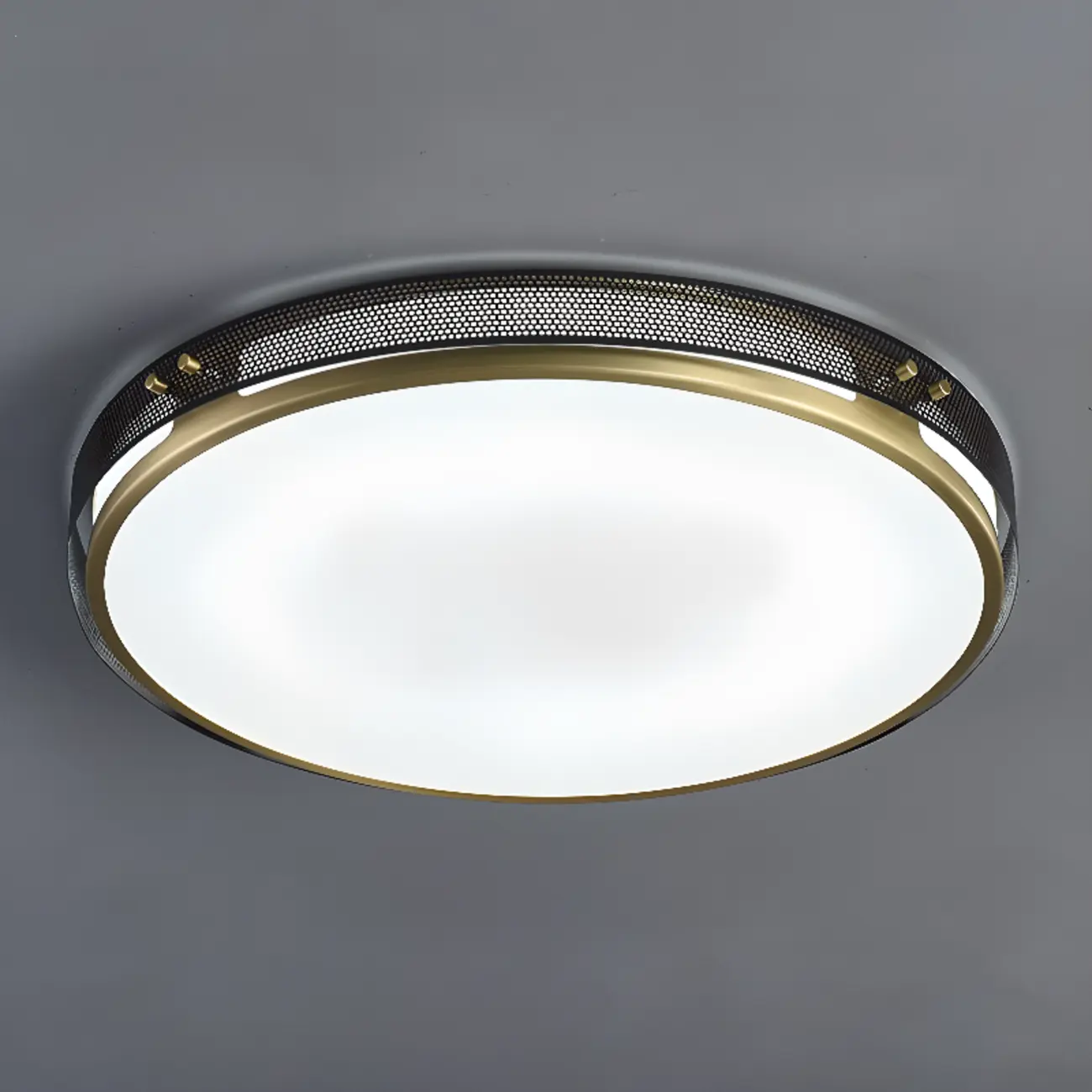 Modern Circle LED Flush Ceiling Light for Living Room Use Image - 11 | homeyfad