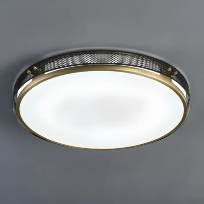Modern Circle LED Flush Ceiling Light for Living Room Use Image - 11