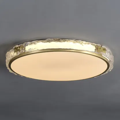 Modern Circle LED Flush Ceiling Light for Living Room Use Image - 13