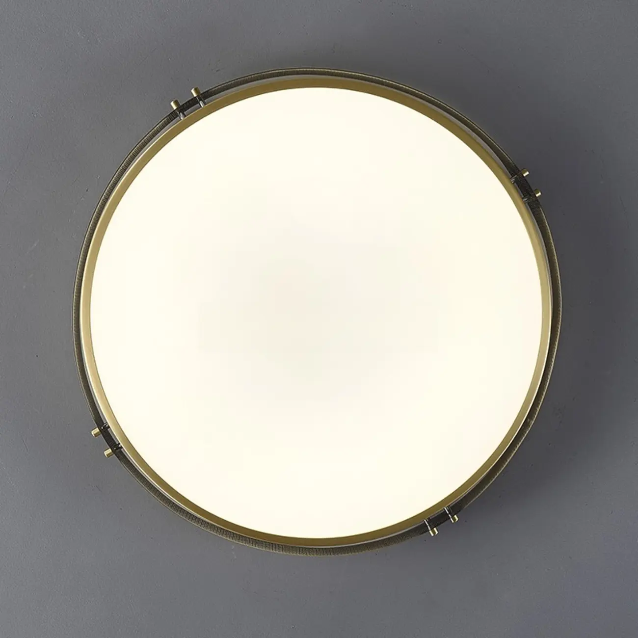 Modern Circle LED Flush Ceiling Light for Living Room Use Image - 16 | homeyfad