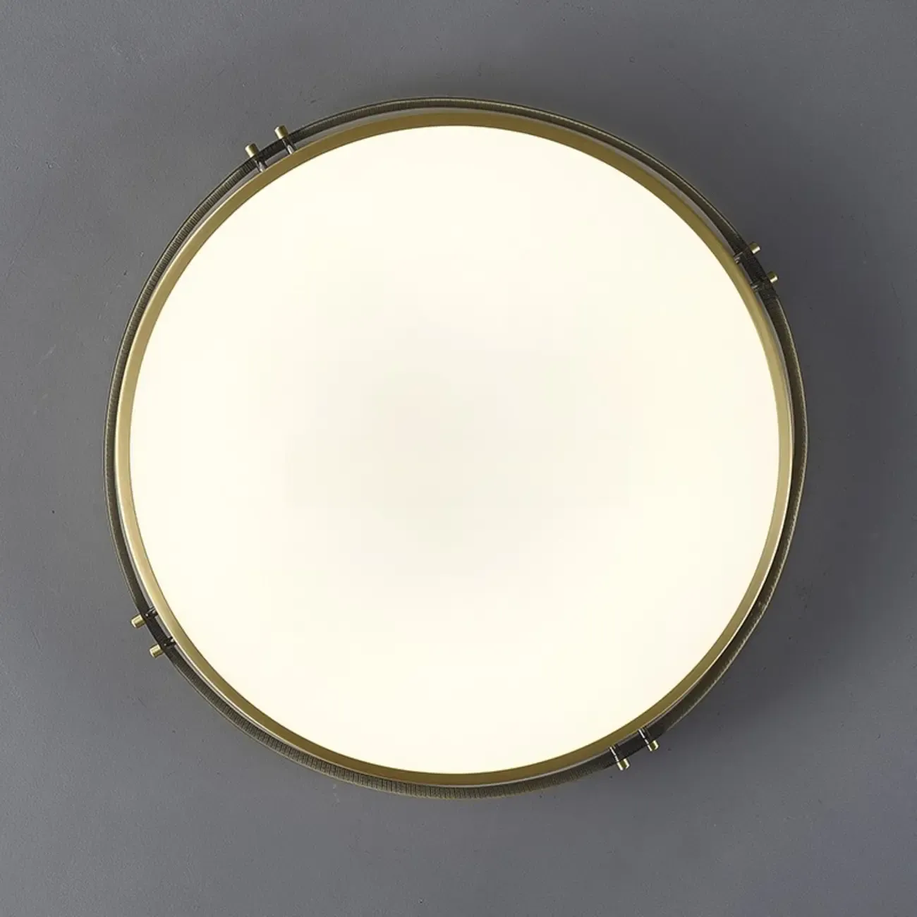 Modern Circle LED Flush Ceiling Light for Living Room Use Image - 16