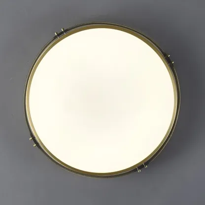 Modern Circle LED Flush Ceiling Light for Living Room Use Image - 16