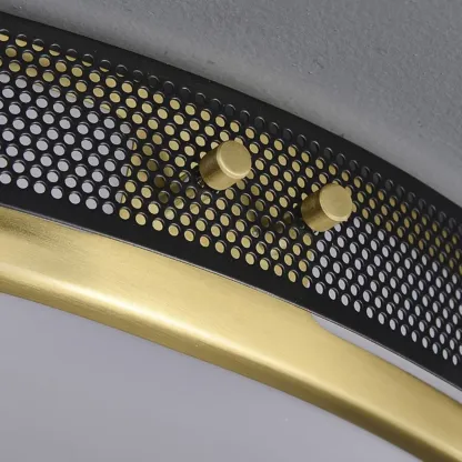 Modern Circle LED Flush Ceiling Light for Living Room Use Image - 19