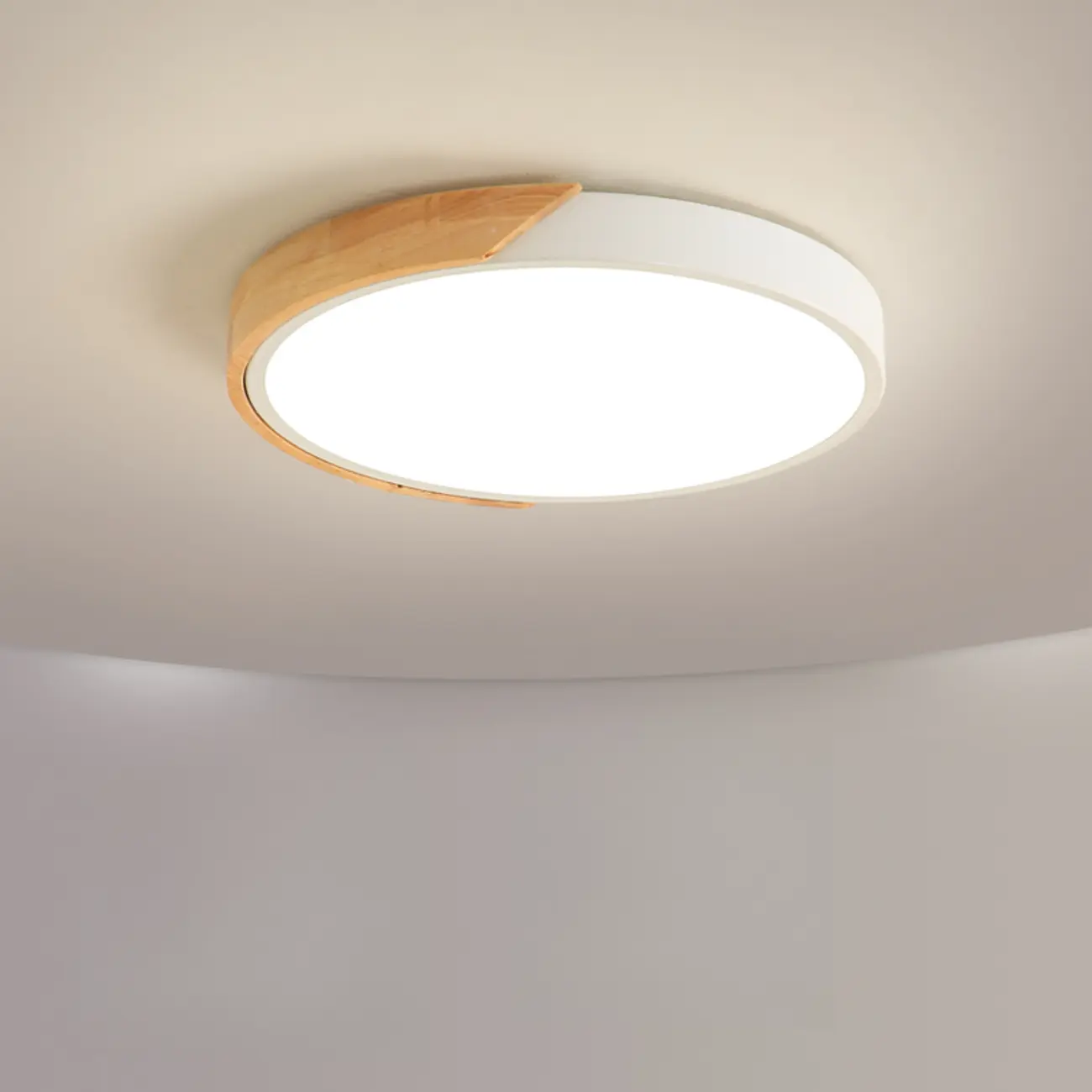 2"Modern Circular Flush Ceiling Light for Residential Use  Image - 3 | homeyfad