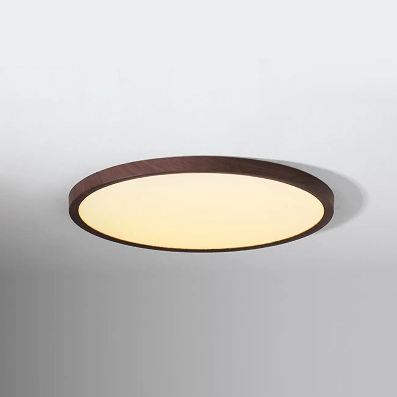 Modern Circular Flush Mount LED Ceiling Light for Bedroom Image - 8 | homeyfad