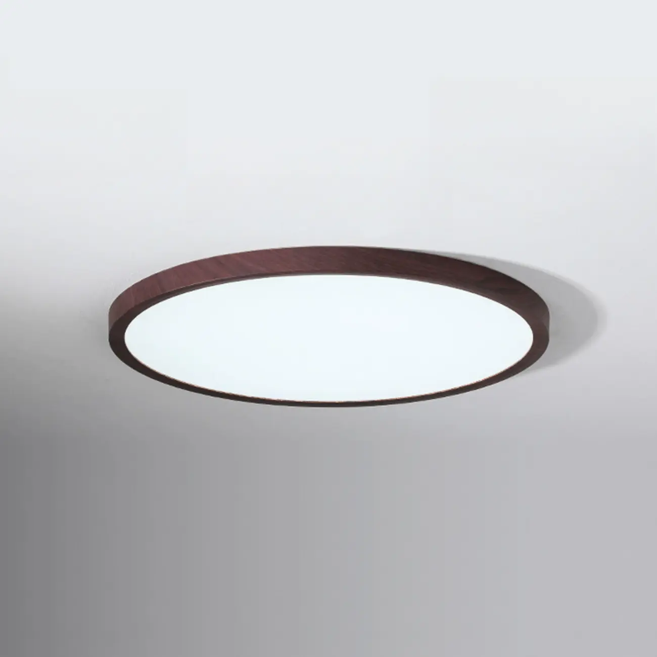 Modern Circular Flush Mount LED Ceiling Light for Bedroom Image - 9 | homeyfad