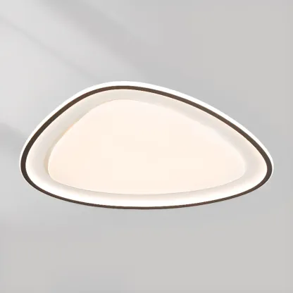Modern Black-White Flush Ceiling Light with 3 Gear Dimming Image - 5