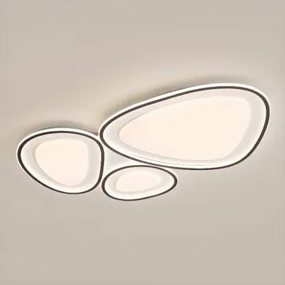Modern Black-White Flush Ceiling Light with 3 Gear Dimming Image - 9