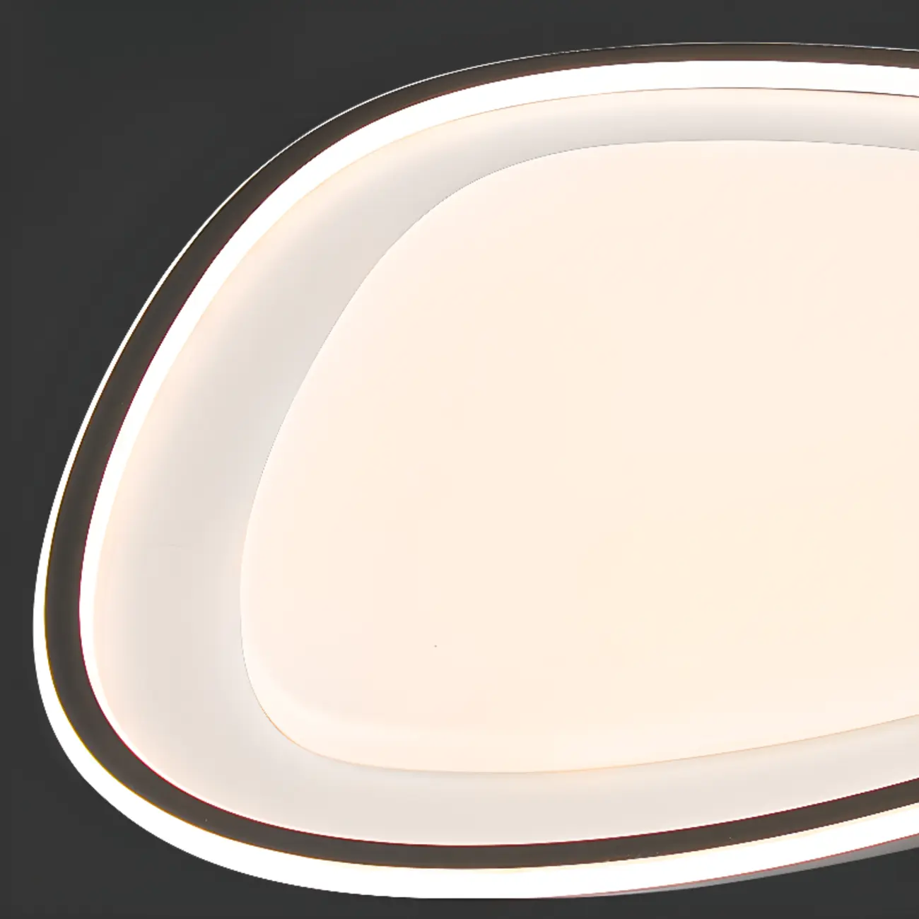 Modern Black-White Flush Ceiling Light with 3 Gear Dimming Image - 13 | homeyfad