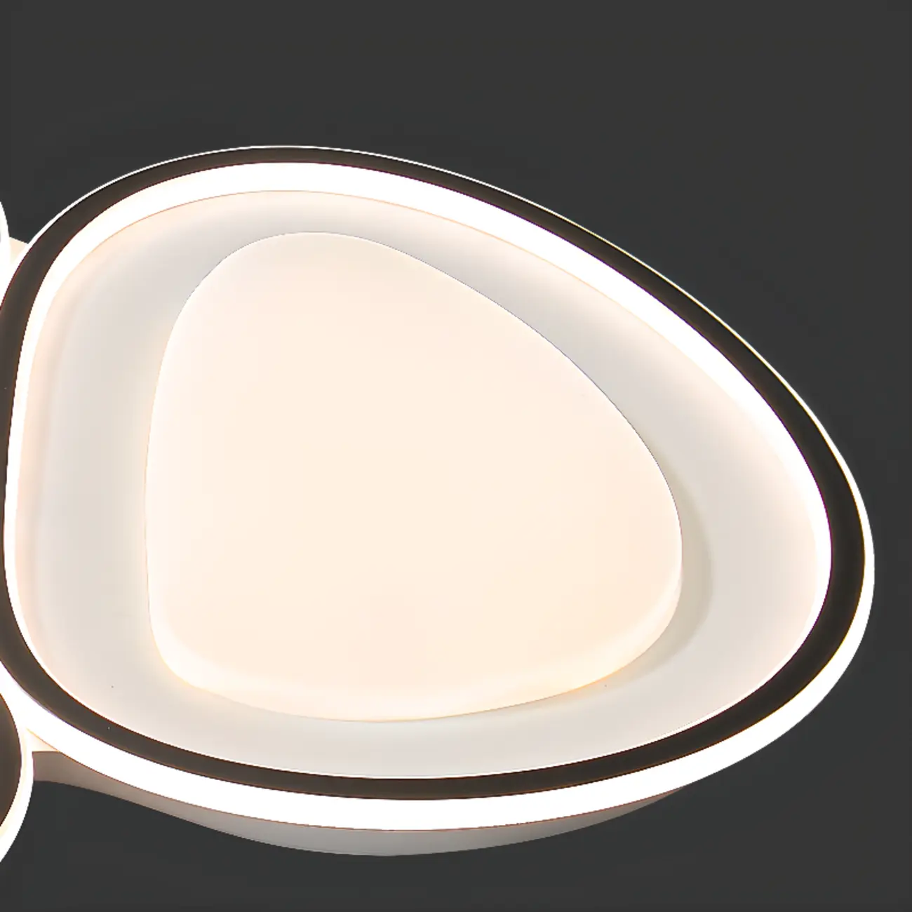 Modern Black-White Flush Ceiling Light with 3 Gear Dimming Image - 14 | homeyfad