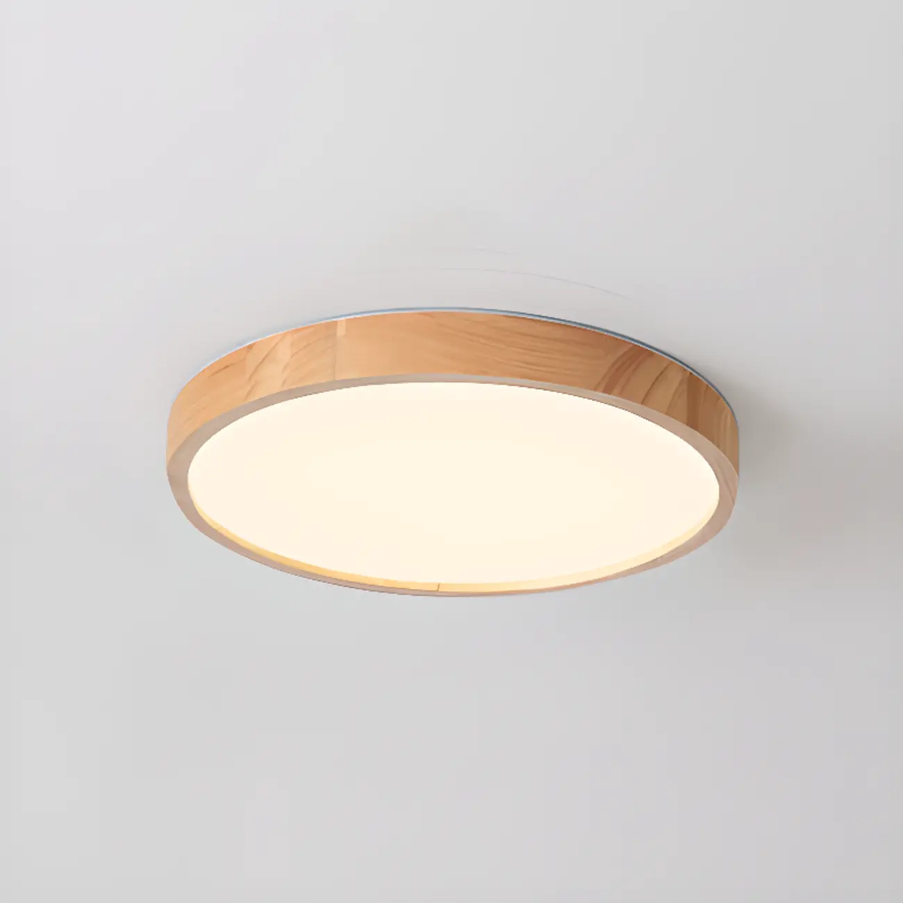 Circular Flush Mount Ceiling Light for Residential Spaces Image - 4 | homeyfad