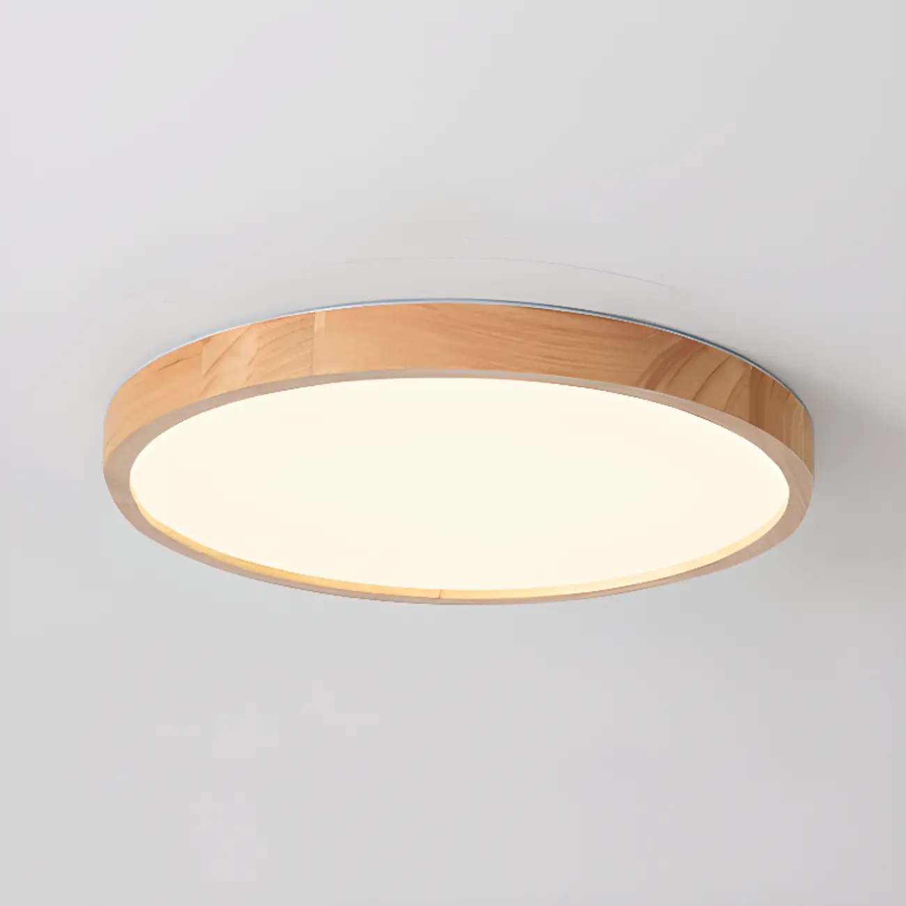 Circular Flush Mount Ceiling Light for Residential Spaces Image - 6 | homeyfad