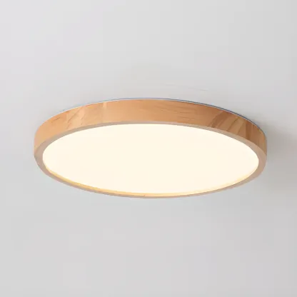 Circular Flush Mount Ceiling Light for Residential Spaces Image - 6