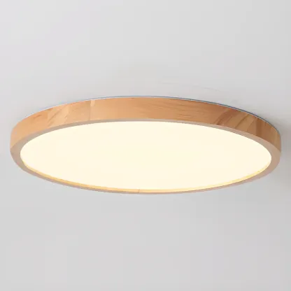 Circular Flush Mount Ceiling Light for Residential Spaces Image - 7