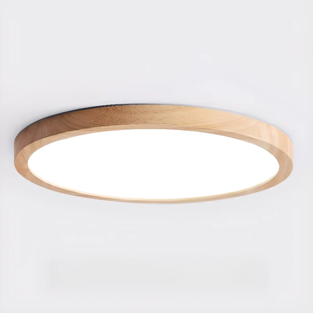 Circular Flush Mount Ceiling Light for Residential Spaces Image - 9 | homeyfad