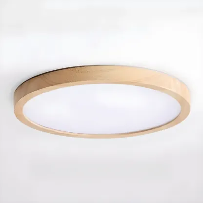 Circular Flush Mount Ceiling Light for Residential Spaces Image - 10