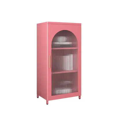 Modern Metal Vertical Storage Cabinet with Glass Doors Image - 23