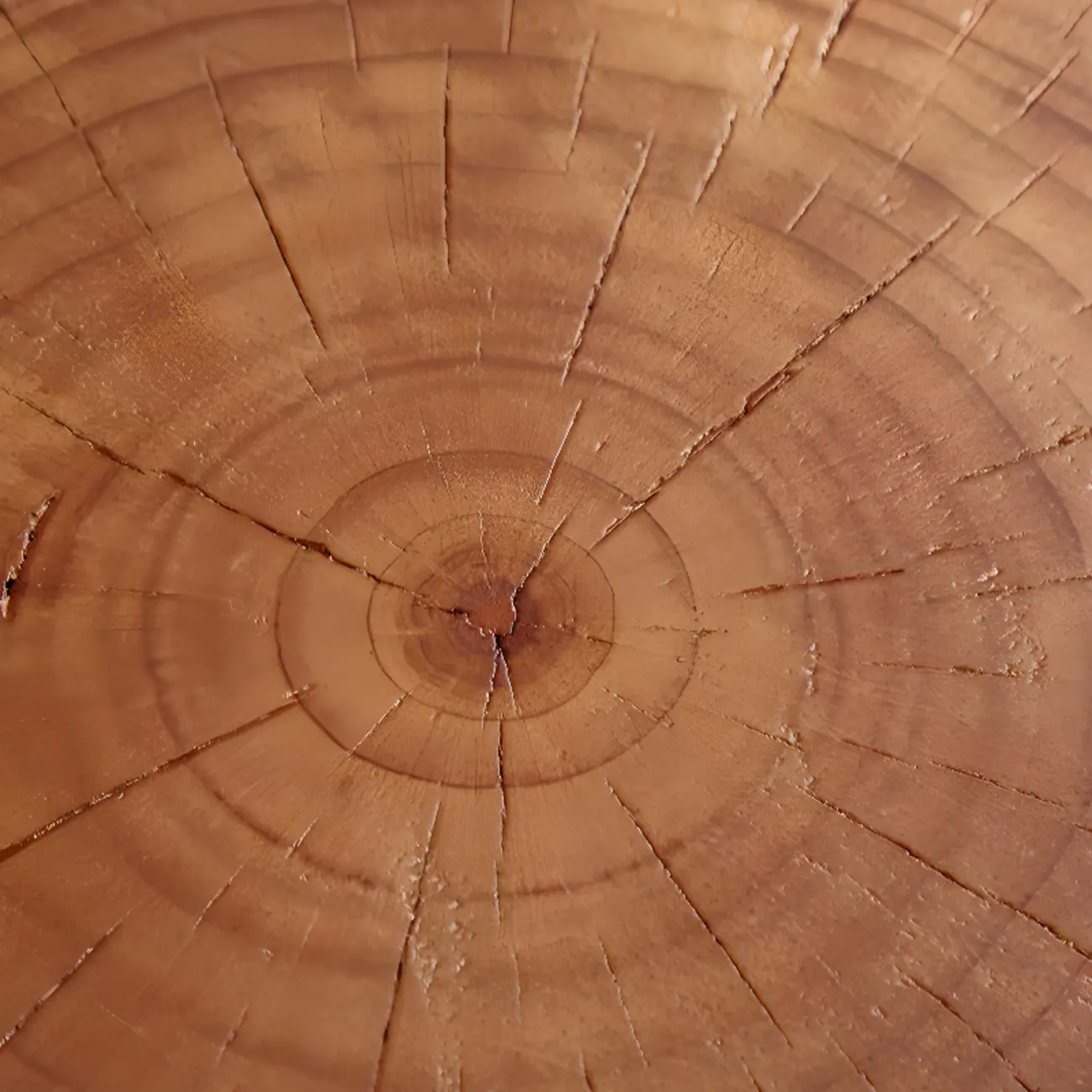 Rustic Solid Wooden Round Coffee Table with Natural Finish Image - 13 | homeyfad