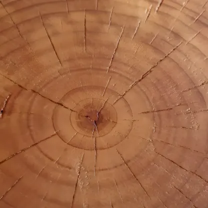 Rustic Solid Wooden Round Coffee Table with Natural Finish Image - 13