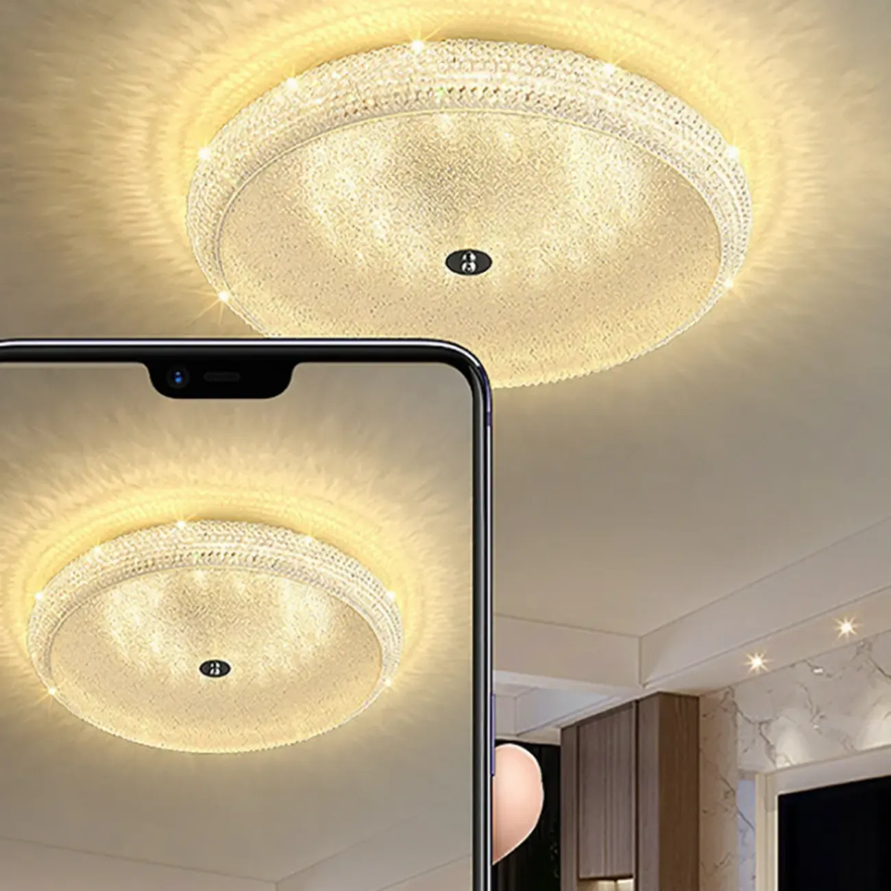Simple Dimmable Crystal  Flush Ceiling Lamp for Living Room Image - 19
