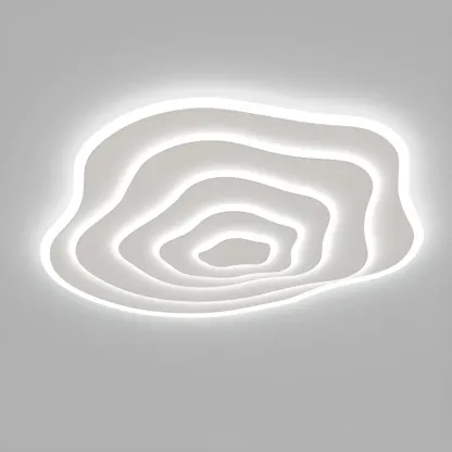 Simple Style Flush Mount Ceiling Light ,3 Color Temperature Image - 5