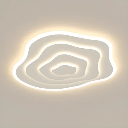 Simple Style Flush Mount Ceiling Light ,3 Color Temperature Image - 6