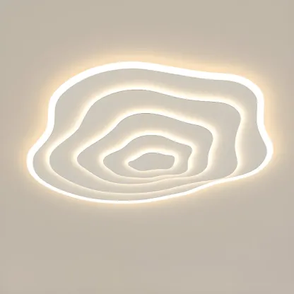 Simple Style Flush Mount Ceiling Light ,3 Color Temperature Image - 7