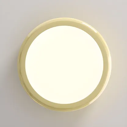 Dimmable Circular Flush LED Ceiling Light for Living Room Image - 18