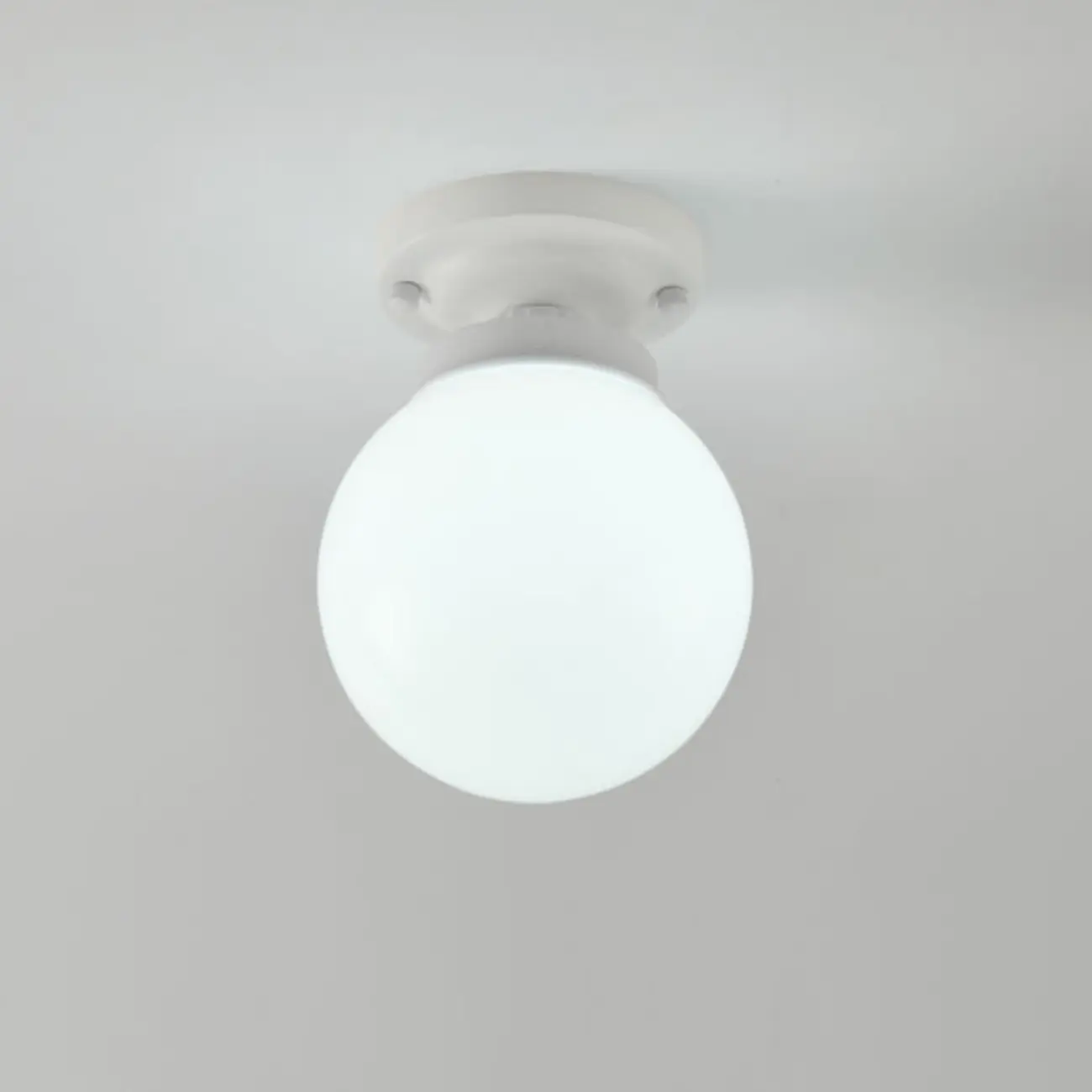 Elegant Flower Shape Ceiling Light for Entrance Illumination  Image - 6 | homeyfad