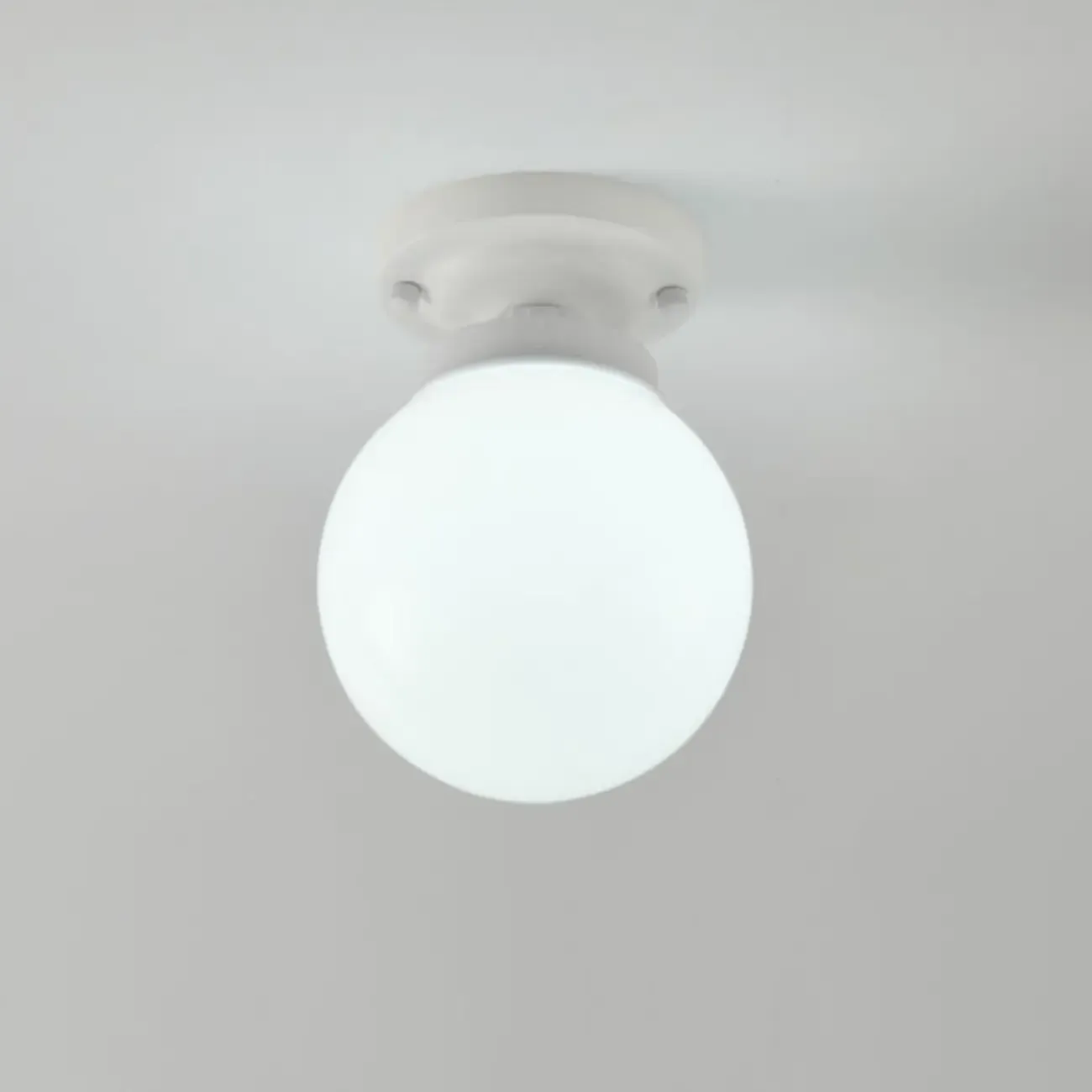 Elegant Flower Shape Ceiling Light for Entrance Illumination  Image - 6