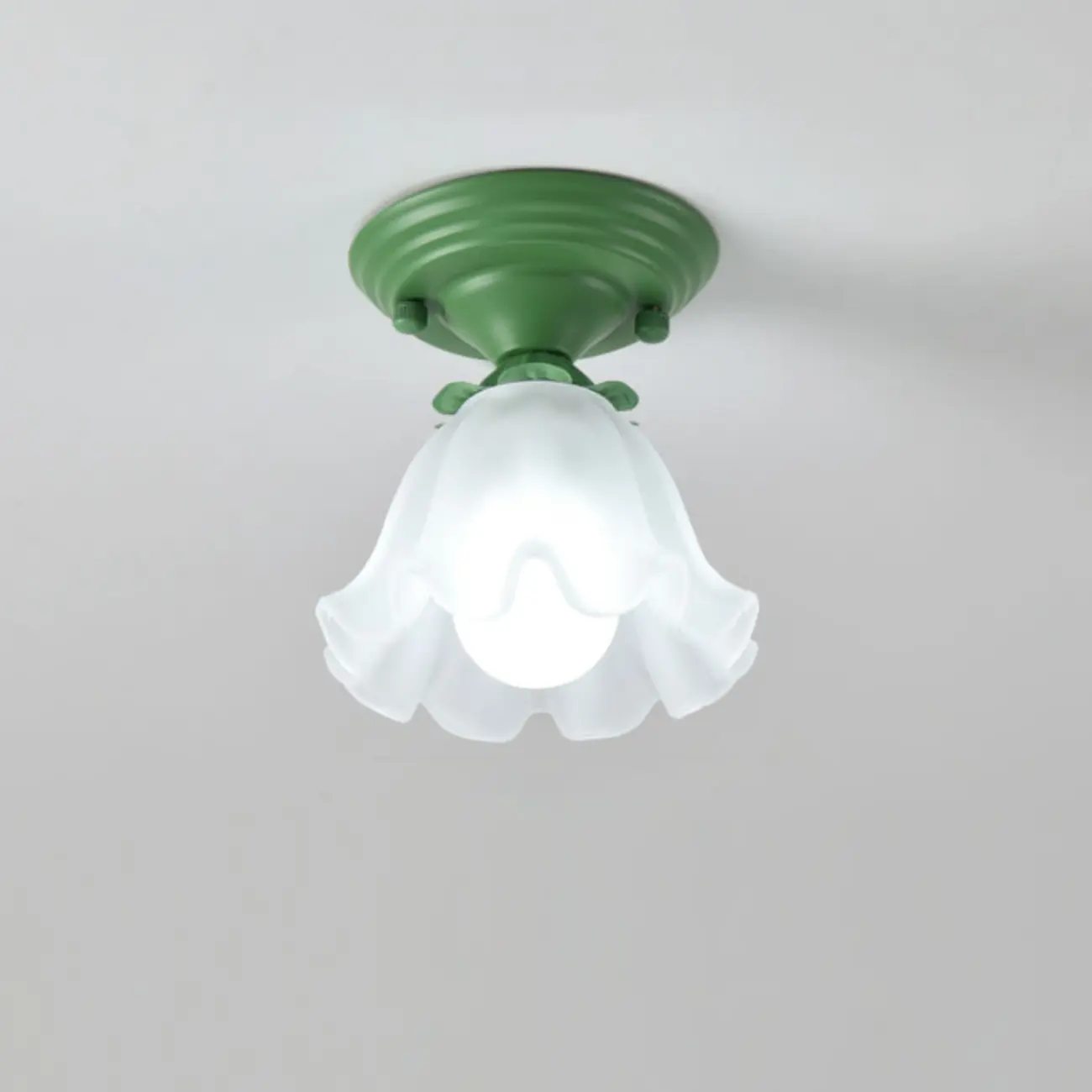 Elegant Flower Shape Ceiling Light for Entrance Illumination  Image - 7 | homeyfad