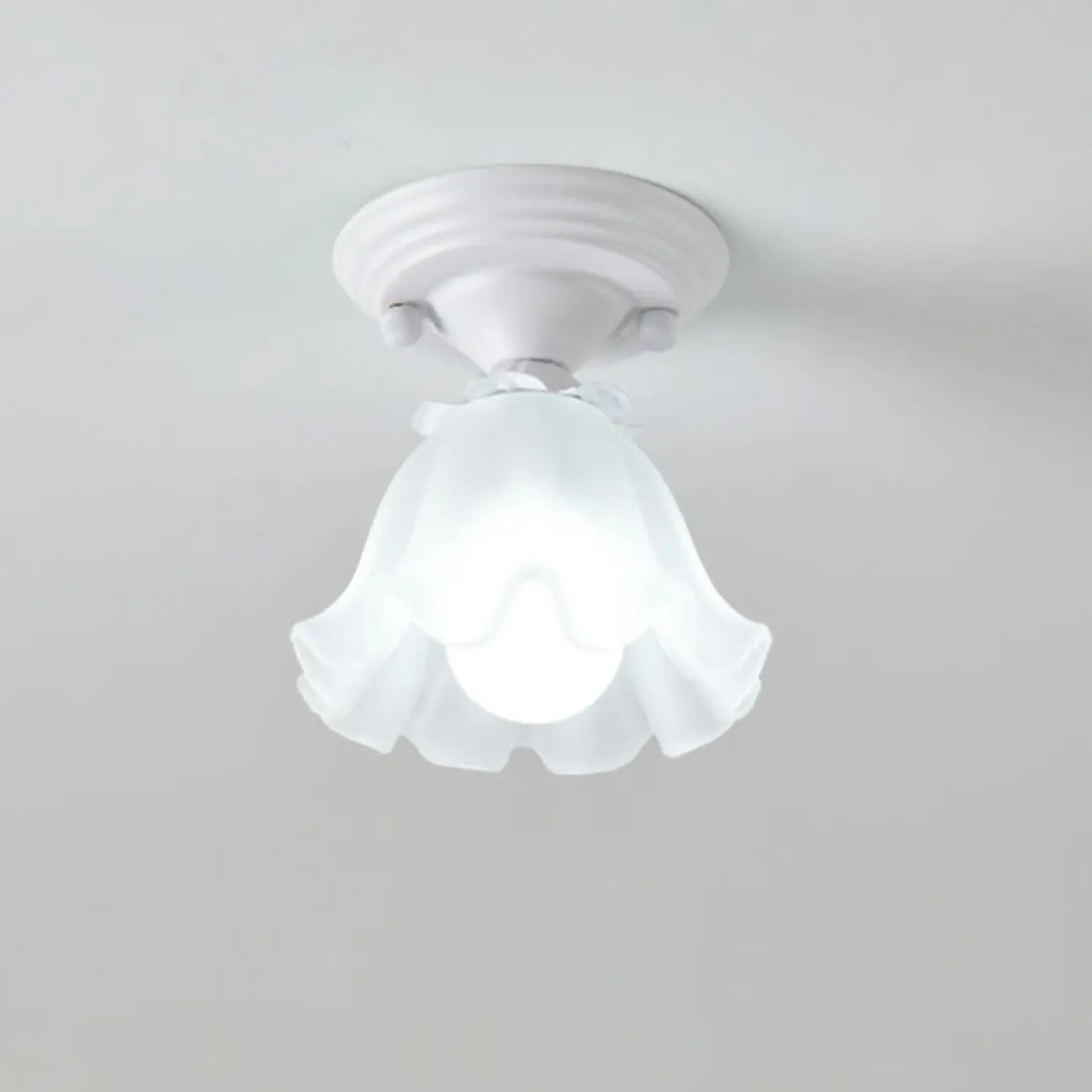Elegant Flower Shape Ceiling Light for Entrance Illumination  Image - 8 | homeyfad