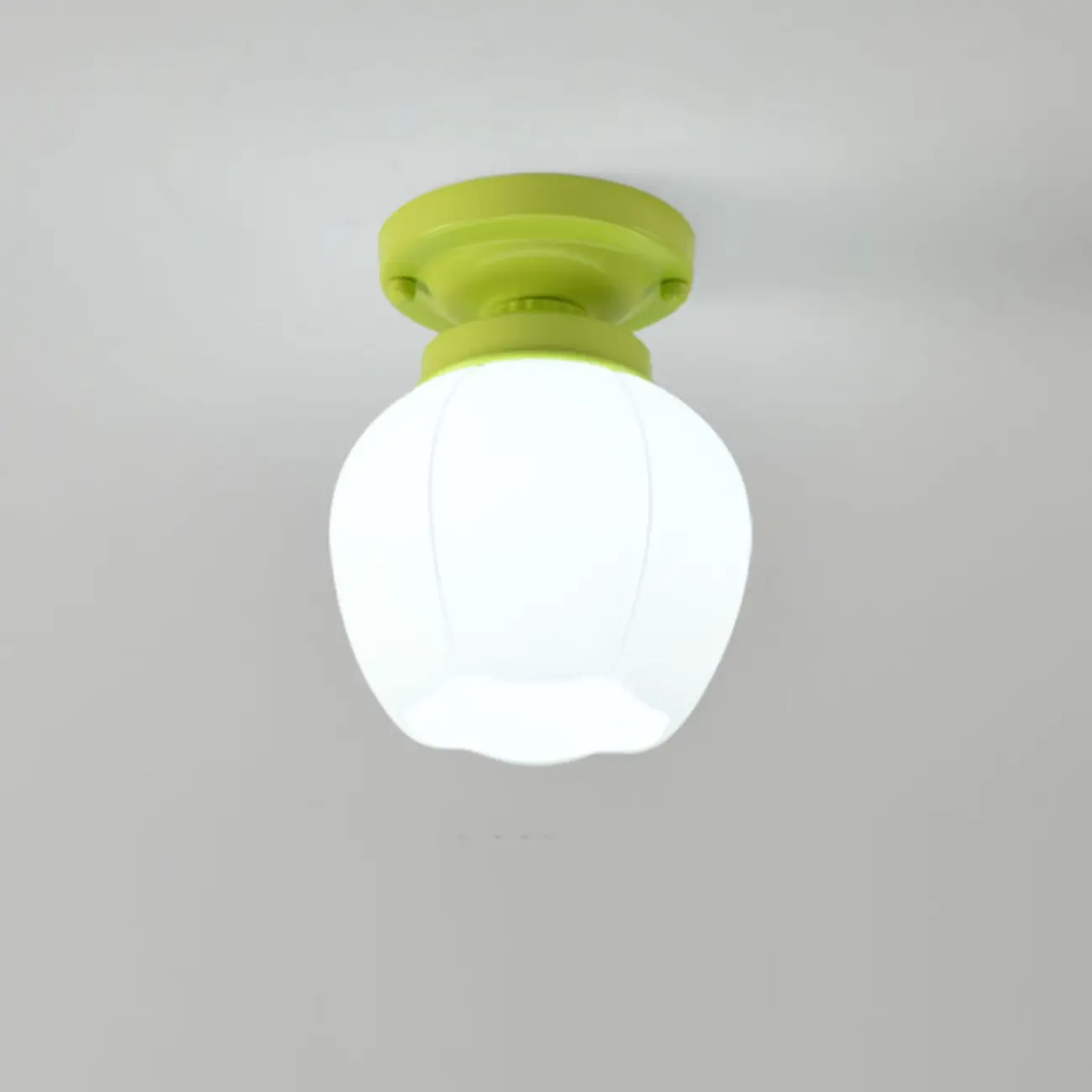 Elegant Flower Shape Ceiling Light for Entrance Illumination  Image - 9 | homeyfad