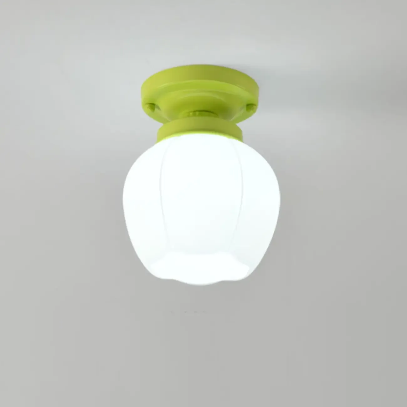 Elegant Flower Shape Ceiling Light for Entrance Illumination  Image - 9