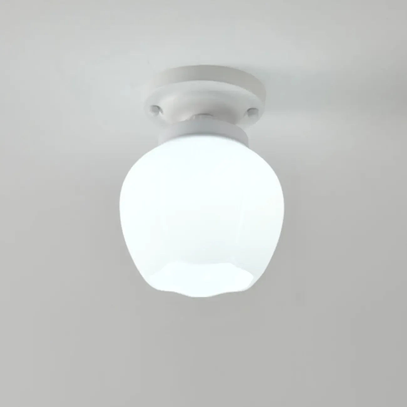 Elegant Flower Shape Ceiling Light for Entrance Illumination  Image - 10