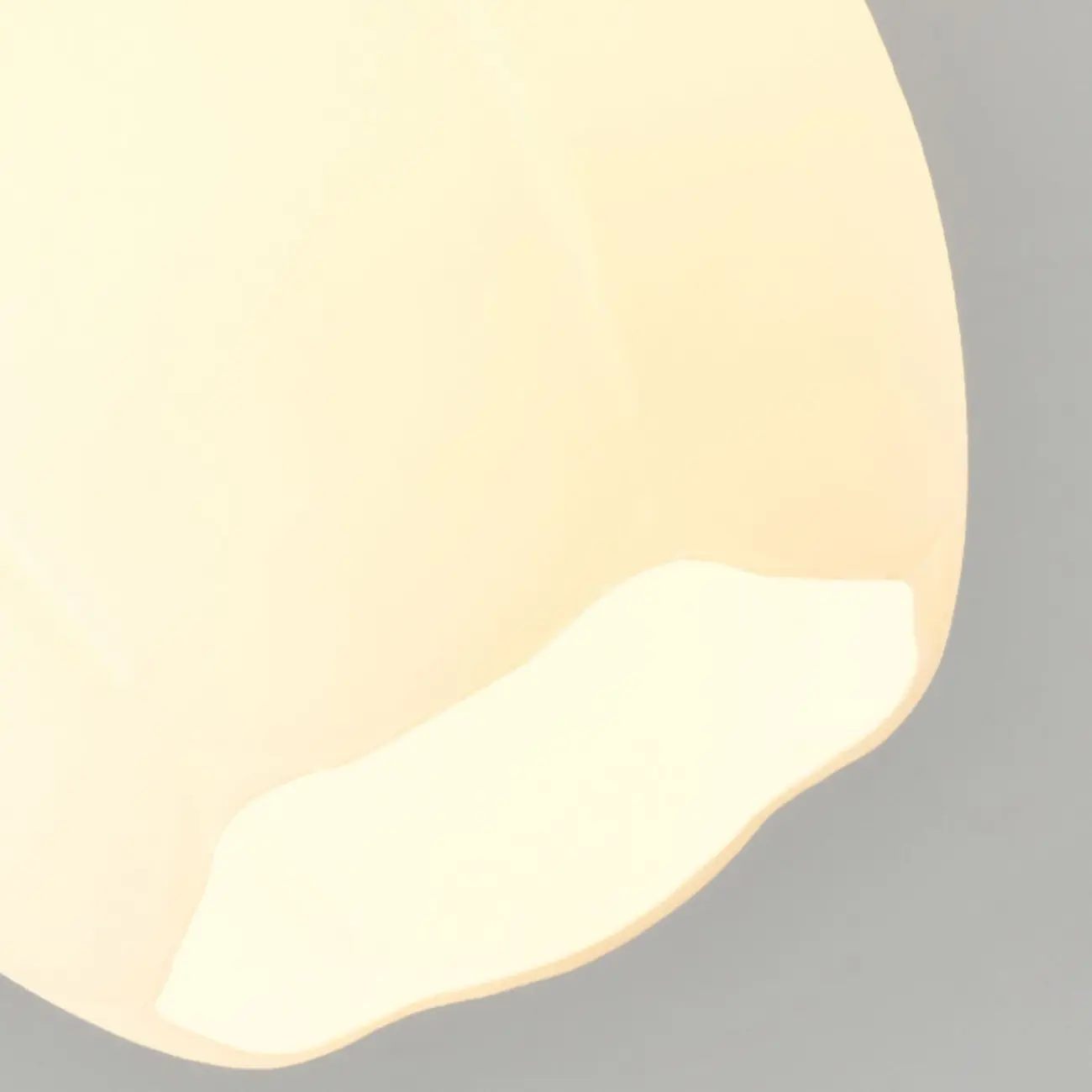 Elegant Flower Shape Ceiling Light for Entrance Illumination  Image - 14 | homeyfad