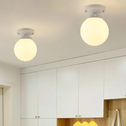 Elegant Flower Shape Ceiling Light for Entrance Illumination  Image - 16