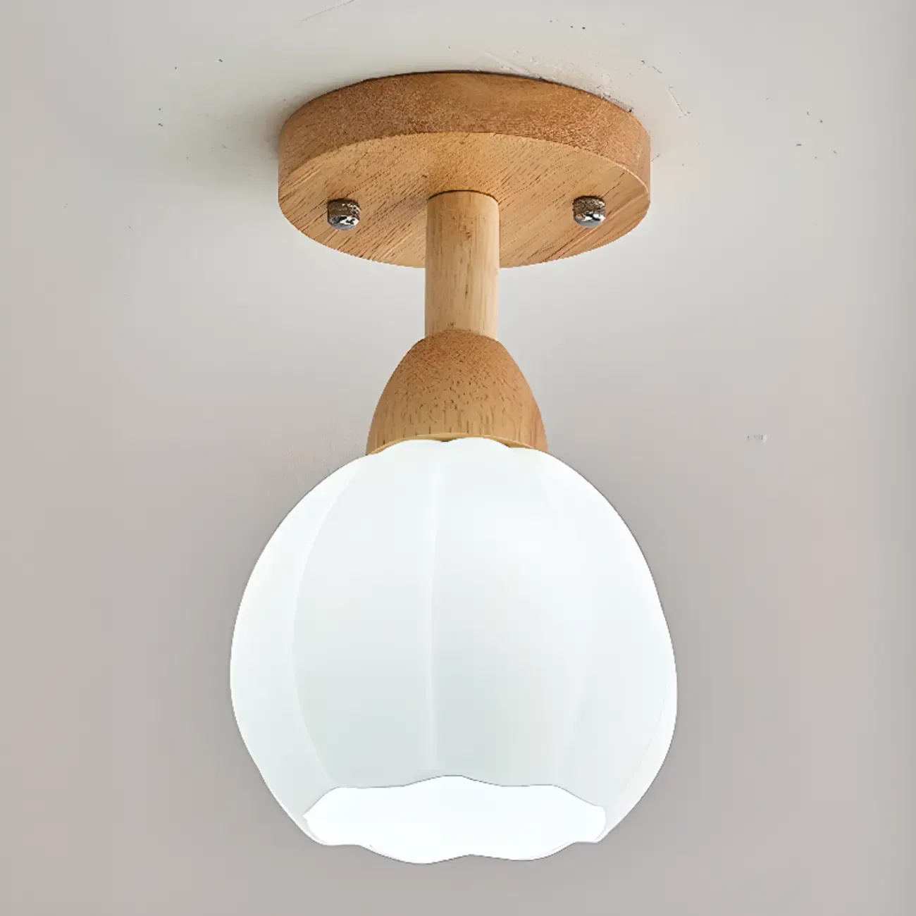 Elegant Single Head LED Ceiling Light for Residential Use Image - 3