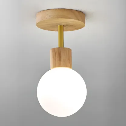 Elegant Single Head LED Ceiling Light for Residential Use Image - 5