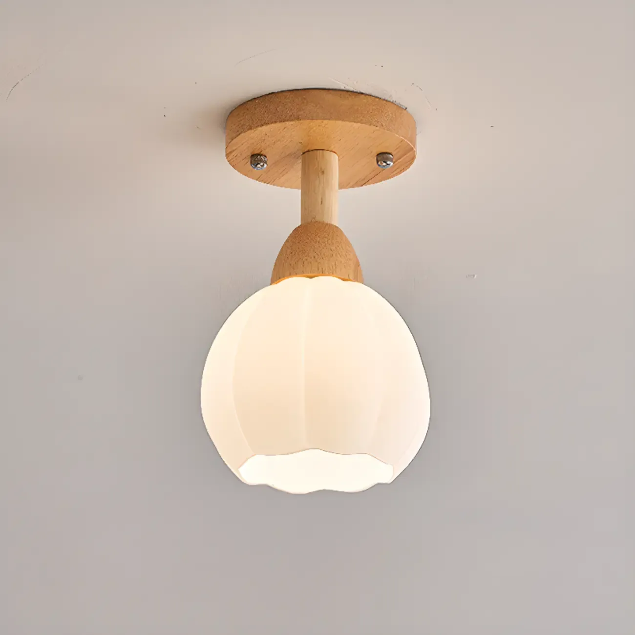 Elegant Single Head LED Ceiling Light for Residential Use Image - 10