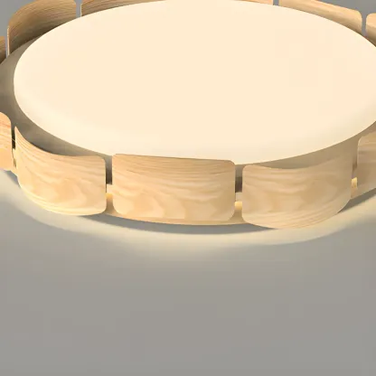 Dimmable Circular Flush Mount Ceiling Light for Living Room Image - 9