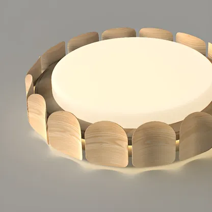 Dimmable Circular Flush Mount Ceiling Light for Living Room Image - 10