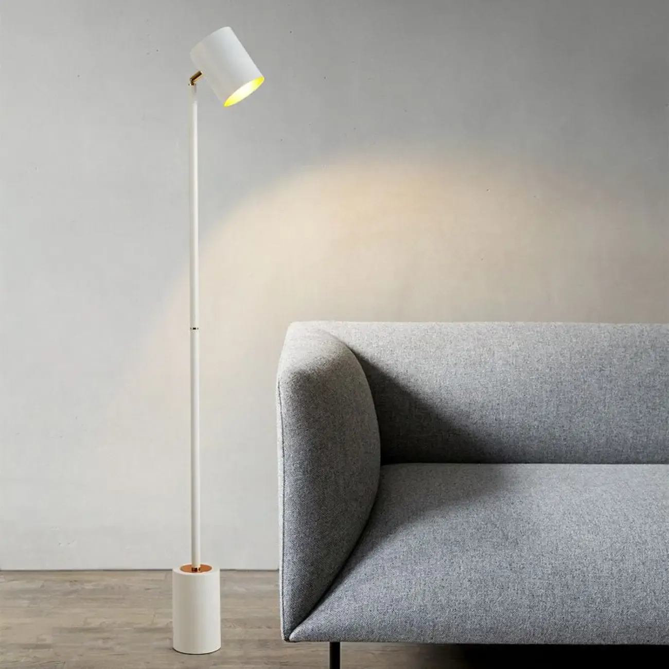 Modern Minimalist  Iron LED Floor Lamp for Living Room Decor Image - 3