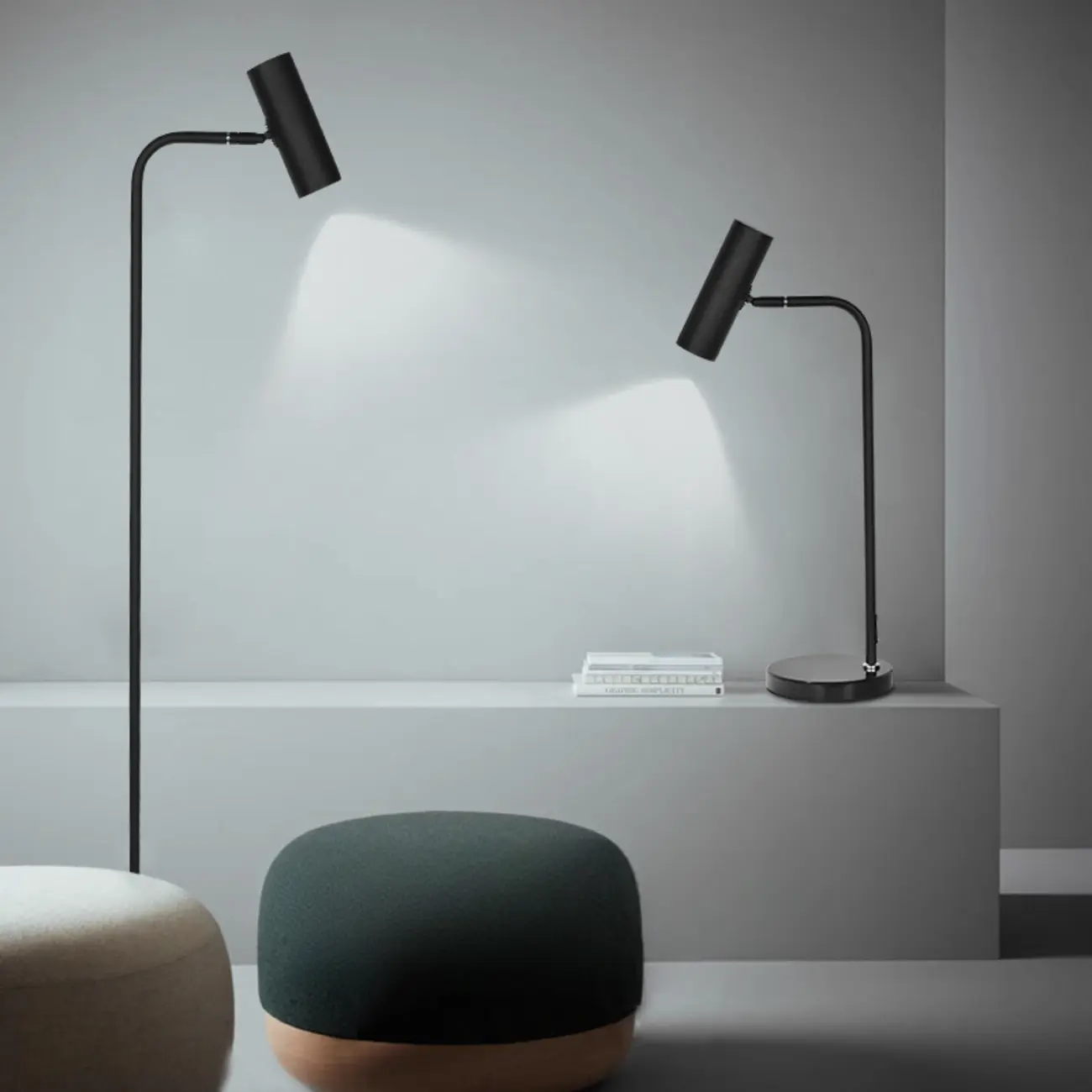 Modern Black Floor Lamp for Living Room Image - 1 | homeyfad
