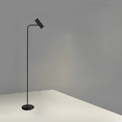 Modern Black Floor Lamp for Living Room Image - 5