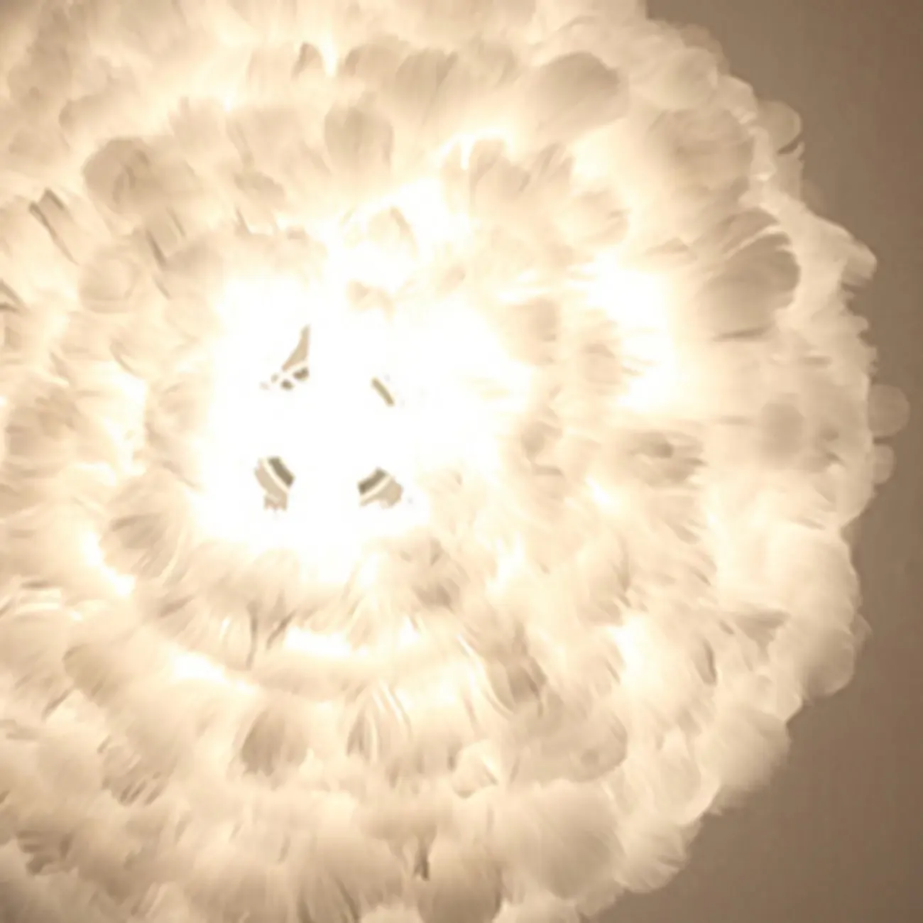 Modern White Feather Pendant Light Height Adjustable Image - 13