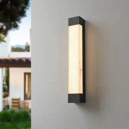 Outdoor Black Steel Wall Light with Polymer Shade Image - 1