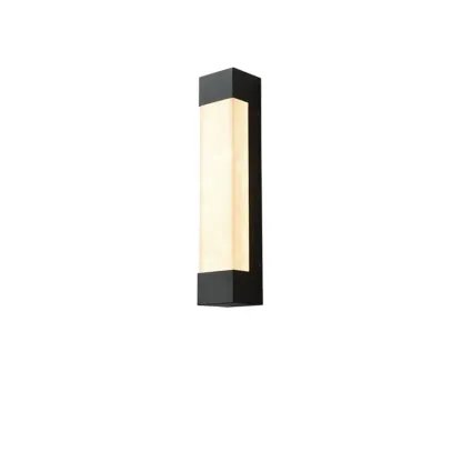 Outdoor Black Steel Wall Light with Polymer Shade Image - 5