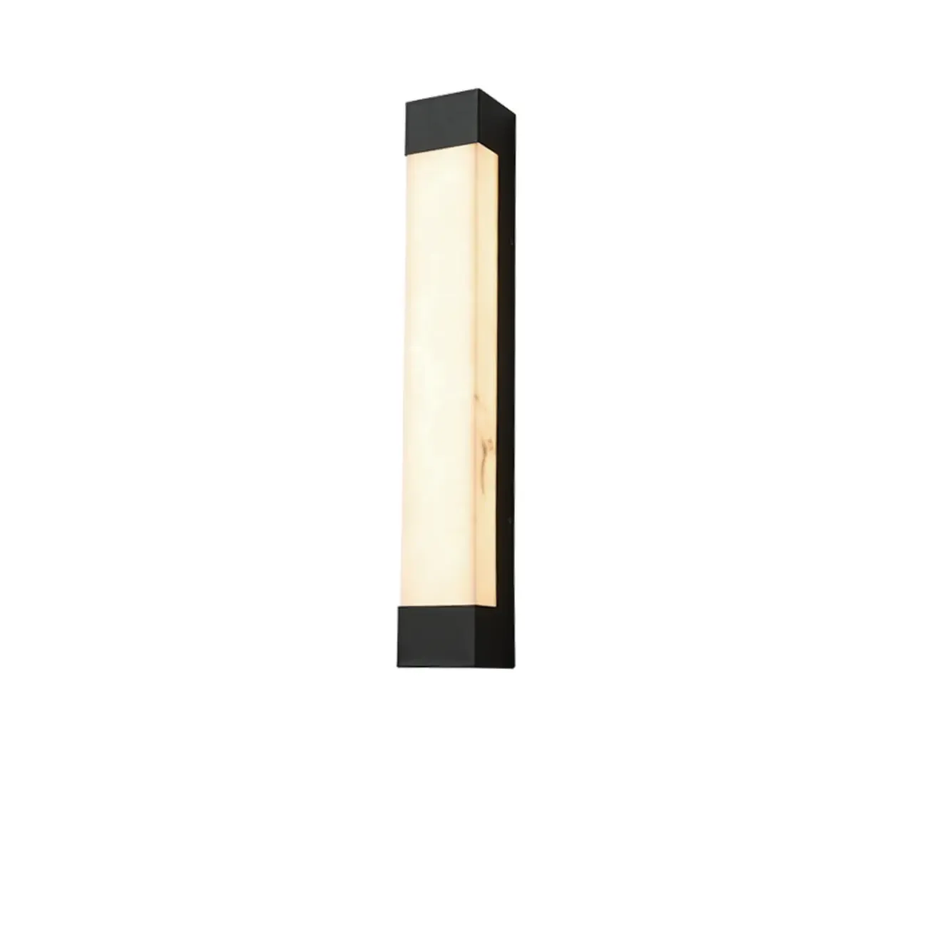 Outdoor Black Steel Wall Light with Polymer Shade Image - 8