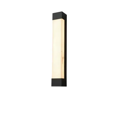 Outdoor Black Steel Wall Light with Polymer Shade Image - 8